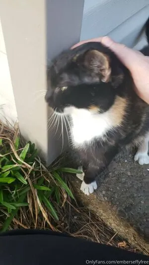 Emberseffyfree OnlyFans Leaked Free Thumbnail Picture - #VeTVyqlX6u