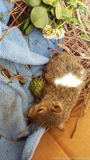 Emberseffyfree OnlyFans Leaked Free Thumbnail Picture - #roLfm0kRSy