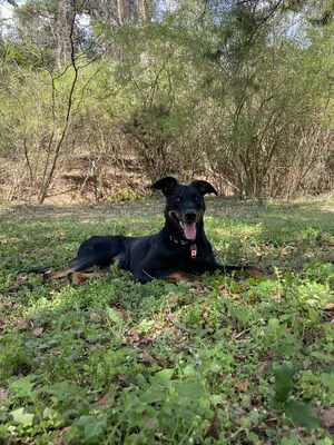 Embertay OnlyFans Leaked Free Thumbnail Picture - #4MO3N13I8F