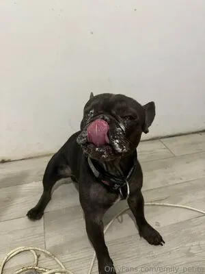 Emily Petite OnlyFans Leaked Free Thumbnail Picture - #3E75xl6Yg1