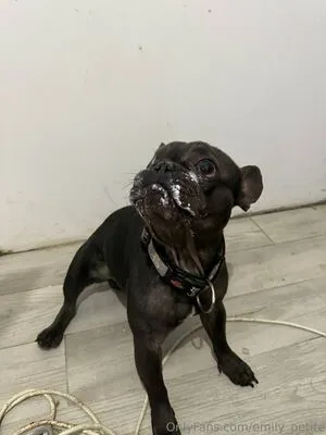 Emily Petite OnlyFans Leaked Free Thumbnail Picture - #3SFAIIWdF6