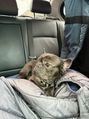 Emily Petite OnlyFans Leaked Free Thumbnail Picture - #T70qxk0axq