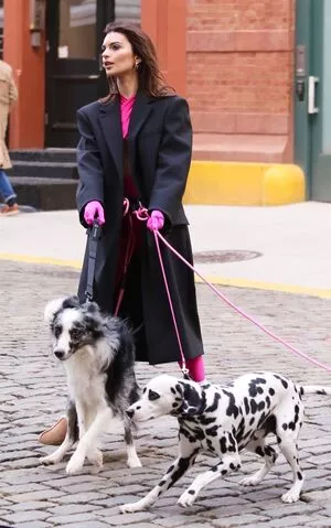 Emily Ratajkowski OnlyFans Leaked Free Thumbnail Picture - #msu5qzwpWB