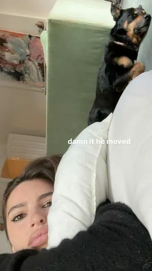 Emily Ratajkowski OnlyFans Leaked Free Thumbnail Picture - #tPF3VgCYcH