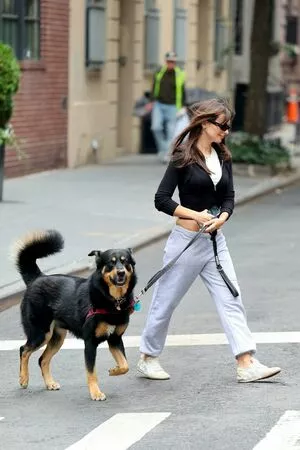 Emily Ratajkowski OnlyFans Leaked Free Thumbnail Picture - #y3ESyA5kgb