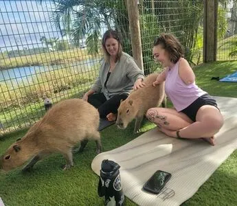 Emily Rowley OnlyFans Leaked Free Thumbnail Picture - #t3eVsUsZQa