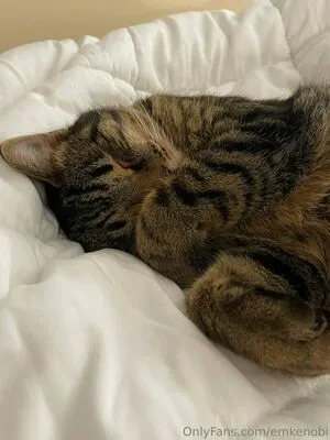 Emkenobi OnlyFans Leaked Free Thumbnail Picture - #iyIO2dVsRd