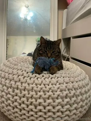 Emkenobi OnlyFans Leaked Free Thumbnail Picture - #tzfB5SDSZK