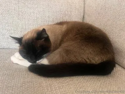 Emma Storm OnlyFans Leaked Free Thumbnail Picture - #VOwkTyP2jd