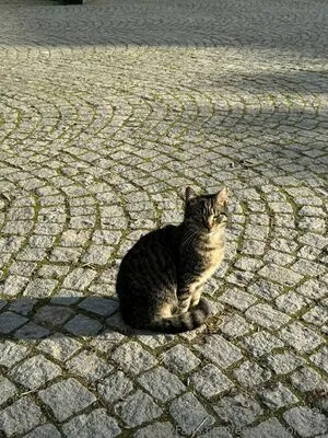 Emmadcomedy OnlyFans Leaked Free Thumbnail Picture - #EXKQry1md4