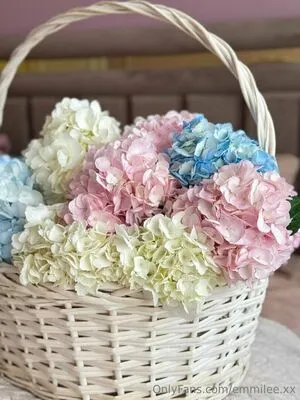 Emmilee Xx OnlyFans Leaked Free Thumbnail Picture - #PIzNIj1Dj0