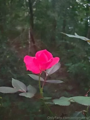 Enigmamgf OnlyFans Leaked Free Thumbnail Picture - #mziMmE2p58