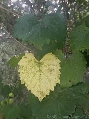 Enigmamgf OnlyFans Leaked Free Thumbnail Picture - #nLoCqCAi0d