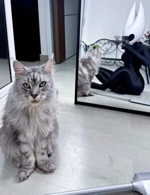 Epicinternetgf OnlyFans Leaked Free Thumbnail Picture - #KdjXFFRkWk