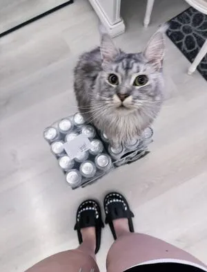 Epicinternetgf OnlyFans Leaked Free Thumbnail Picture - #OX8cWcziGX