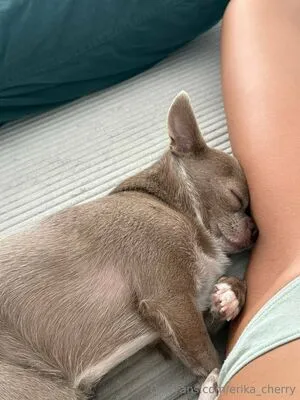 Erika Cherry OnlyFans Leaked Free Thumbnail Picture - #RZlCYM1yee