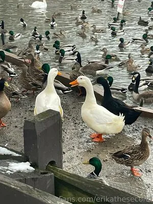 Erikathesecond OnlyFans Leaked Free Thumbnail Picture - #hzqslwMsqN