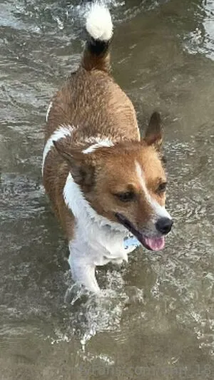 Erin OnlyFans Leaked Free Thumbnail Picture - #QsLr9qnPcQ