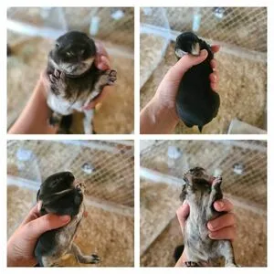 Erin Moor OnlyFans Leaked Free Thumbnail Picture - #Njl8MjTG93