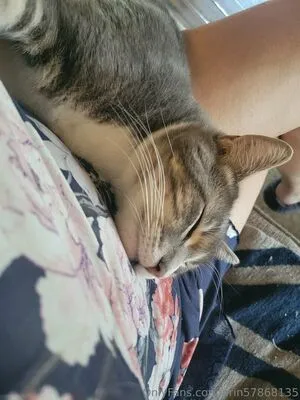 Erin57868135 OnlyFans Leaked Free Thumbnail Picture - #za9xPjw4JE