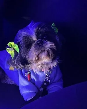 Estela OnlyFans Leaked Free Thumbnail Picture - #7BZsrlWdYC