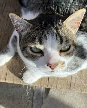 Estela OnlyFans Leaked Free Thumbnail Picture - #KV7IaByP1L