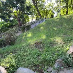 Eunyoung OnlyFans Leaked Free Thumbnail Picture - #SxUEhsbJFT