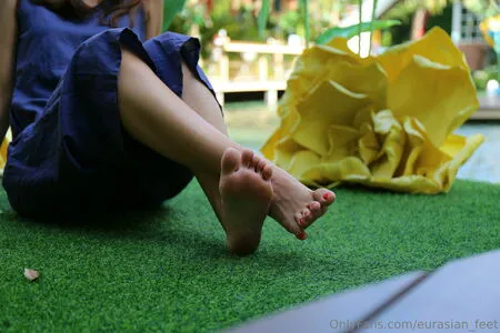 Eurasian Feet OnlyFans Leaked Free Thumbnail Picture - #84GP411rnl