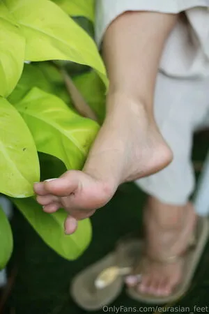 Eurasian Feet OnlyFans Leaked Free Thumbnail Picture - #UHIv6xYGRB