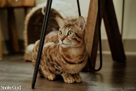 Eva Maxim OnlyFans Leaked Free Thumbnail Picture - #WTIc7vVH1K