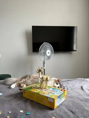 Eva Millerr OnlyFans Leaked Free Thumbnail Picture - #FRMDByQiOi