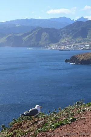 Eva Millerr OnlyFans Leaked Free Thumbnail Picture - #LgFR63kdjs