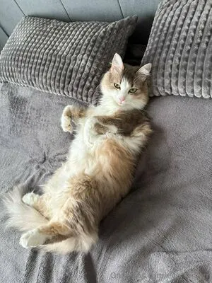 Eva Millerr OnlyFans Leaked Free Thumbnail Picture - #kU06i7ZDMB