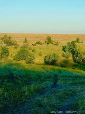 Eva Taft OnlyFans Leaked Free Thumbnail Picture - #KDSV8KjDtK