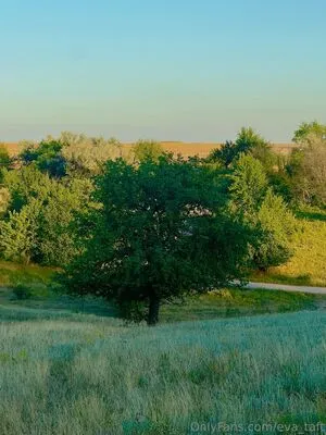 Eva Taft OnlyFans Leaked Free Thumbnail Picture - #XMkY07IRto