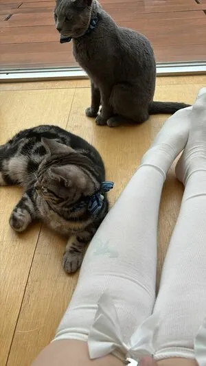 Evahakalba OnlyFans Leaked Free Thumbnail Picture - #KhipDZQ0Ab