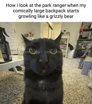 Executionergf OnlyFans Leaked Free Thumbnail Picture - #DJRbXKJyqY