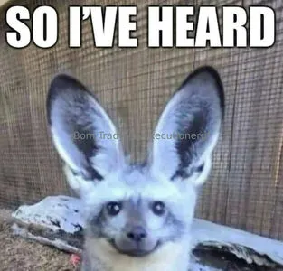 Executionergf OnlyFans Leaked Free Thumbnail Picture - #J0uDavWWb0