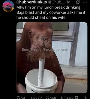 Executionergf OnlyFans Leaked Free Thumbnail Picture - #S8QyVZ7anb