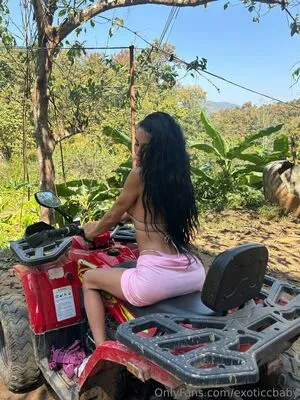 Exoticcbaby OnlyFans Leaked Free Thumbnail Picture - #wL3s5LYRyY