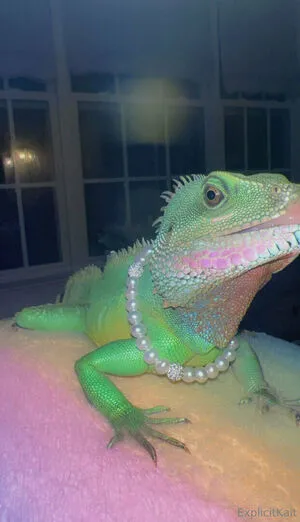 Explicitkait OnlyFans Leaked Free Thumbnail Picture - #3rEIFenlxK