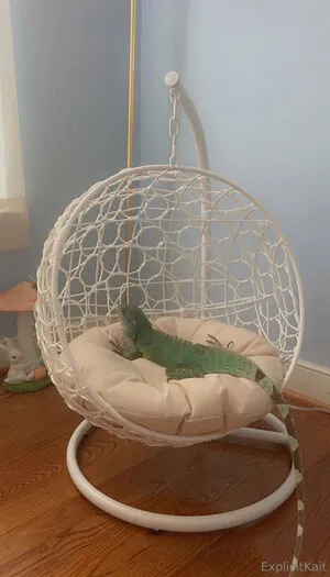 Explicitkait OnlyFans Leaked Free Thumbnail Picture - #S6BeeneYDL