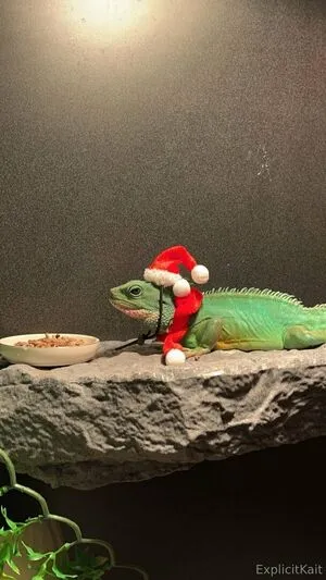 Explicitkait OnlyFans Leaked Free Thumbnail Picture - #W8J7qgd0of