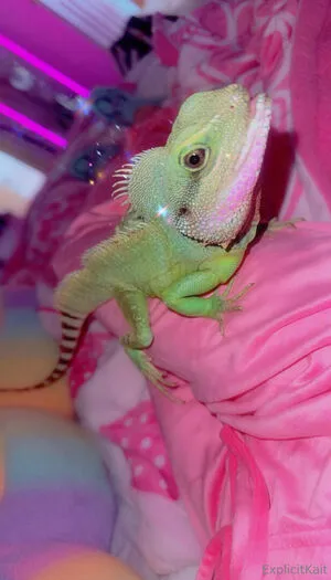 Explicitkait OnlyFans Leaked Free Thumbnail Picture - #XYD9N6b50C