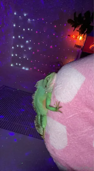 Explicitkait OnlyFans Leaked Free Thumbnail Picture - #xhAB6iBK9W