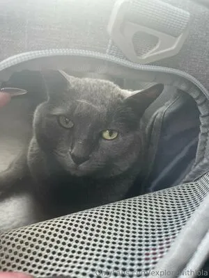 Explorewithlola OnlyFans Leaked Free Thumbnail Picture - #b3fMM1nwdD