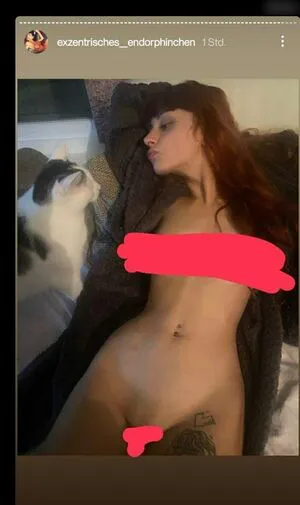 Exzentrisches Endorphinchen OnlyFans Leaked Free Thumbnail Picture - #0qrdcm2wPB