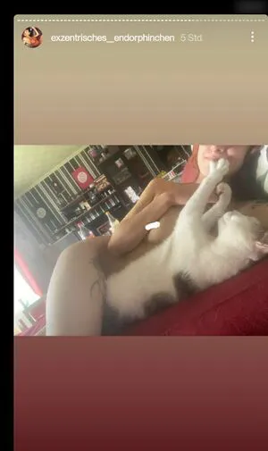 Exzentrisches Endorphinchen OnlyFans Leaked Free Thumbnail Picture - #l4bmQYwada