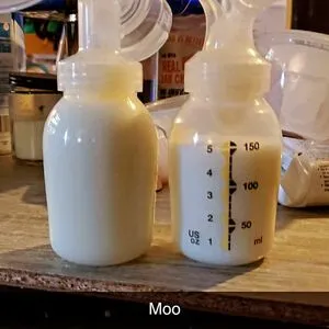 Fairymlkmother OnlyFans Leaked Free Thumbnail Picture - #faKMzgje8O
