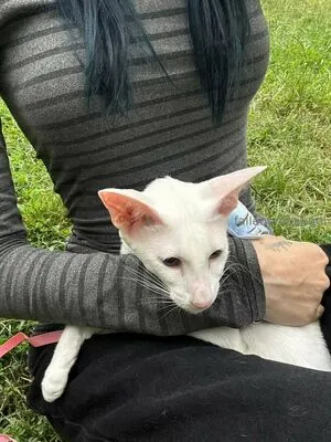 Fallenemoangel OnlyFans Leaked Free Thumbnail Picture - #3Quer2LFUZ